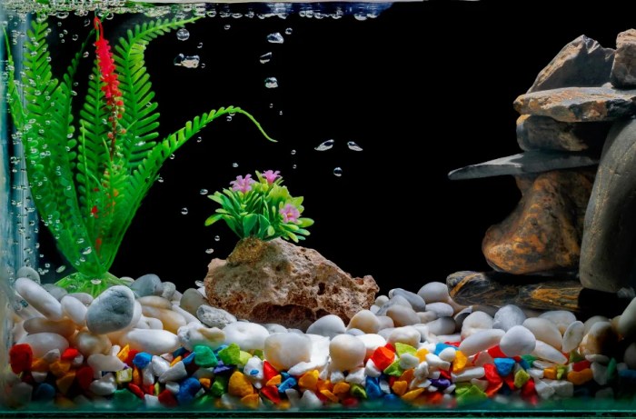 How to make fish tank decoration