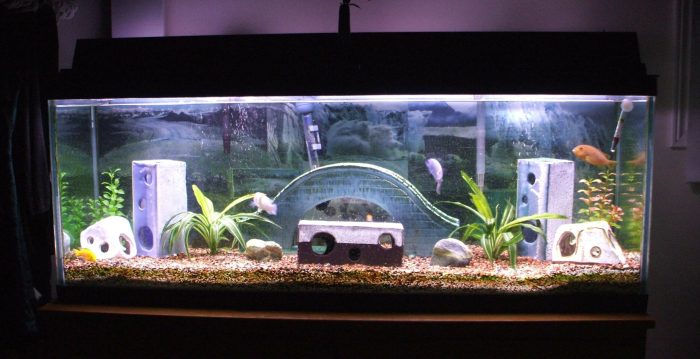 How to make fish tank decoration