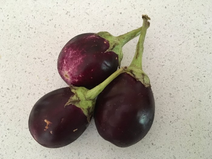 How to cook small eggplant indian style